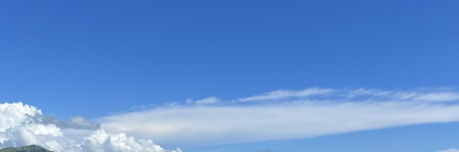 aandraye's profile banner image