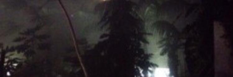 celine_l3's profile banner image