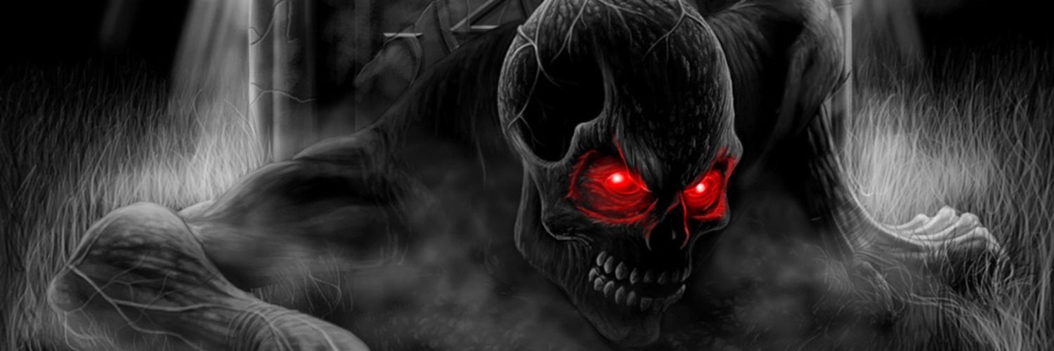 Zebi banner