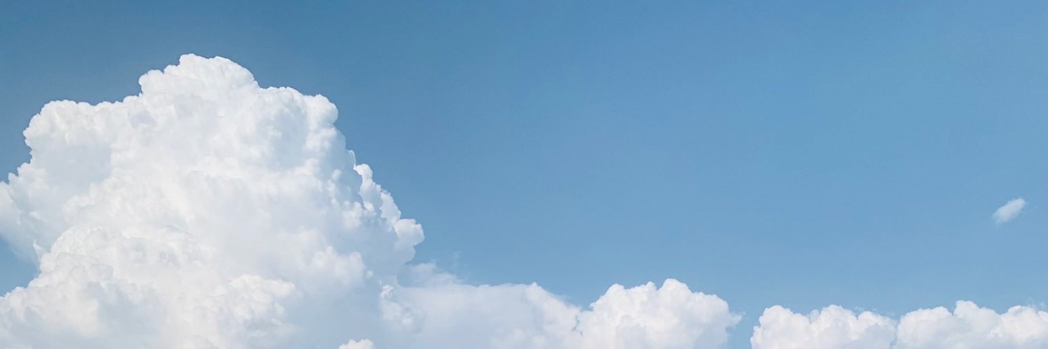 WizzirdWeb3's profile banner image