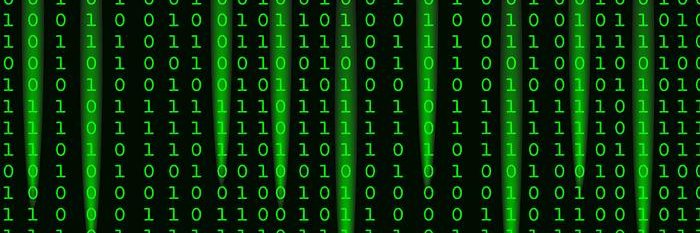 The Great White 🦈 banner