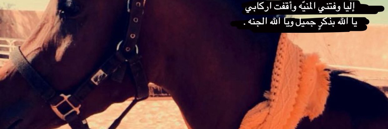 ﮼رائد﮼المعطاني 🎠 banner