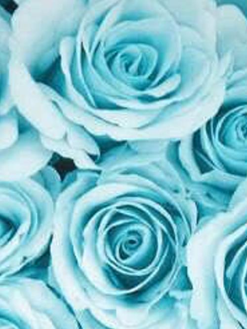 O313NO1's profile banner image