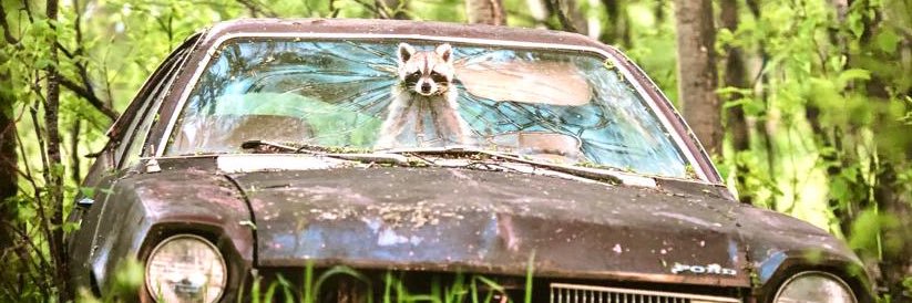 Maurice Summen banner