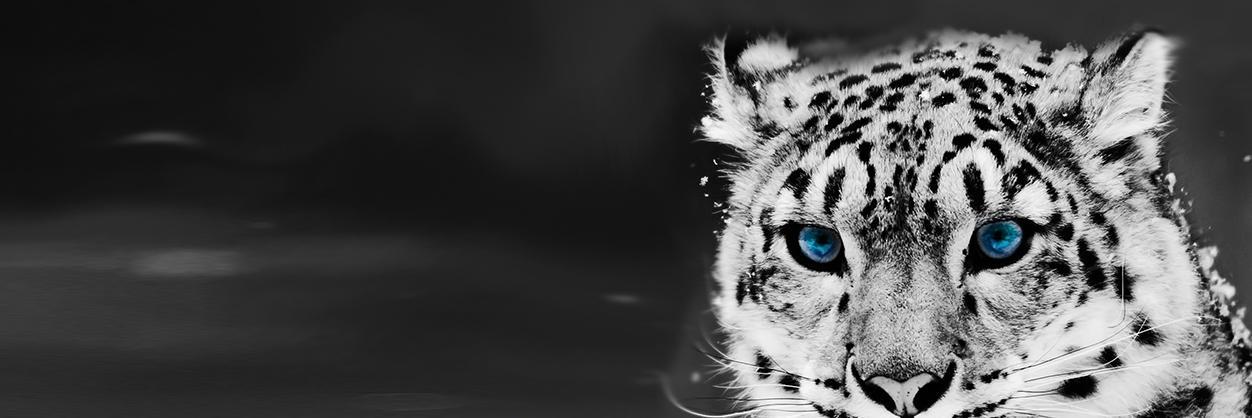 ustazfathulbari's profile banner image