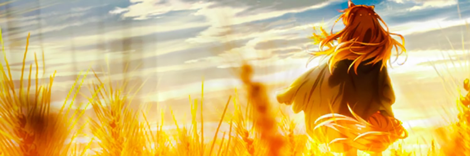 Xiaonks's profile banner image