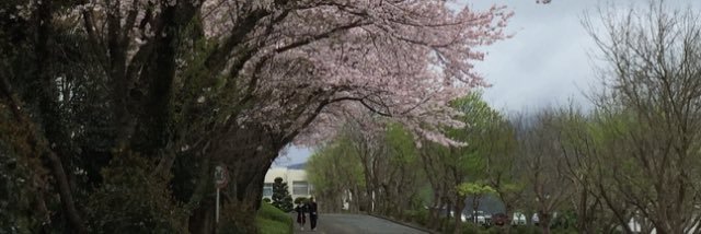 HiguchiHiroko's profile banner image