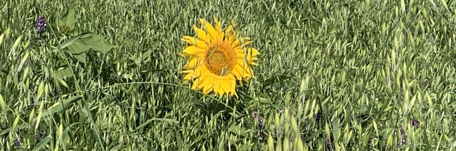 Erin + (Paul and Colby) banner