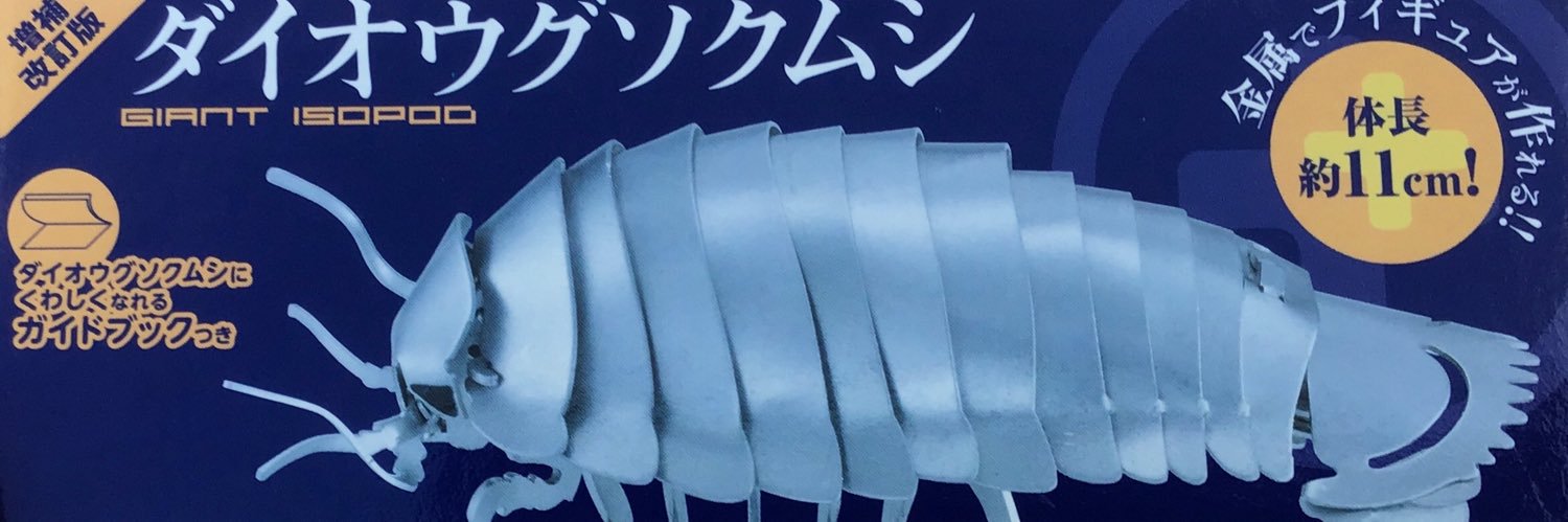 Ran_Y_Alice's profile banner image