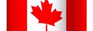 Zee911's profile banner image