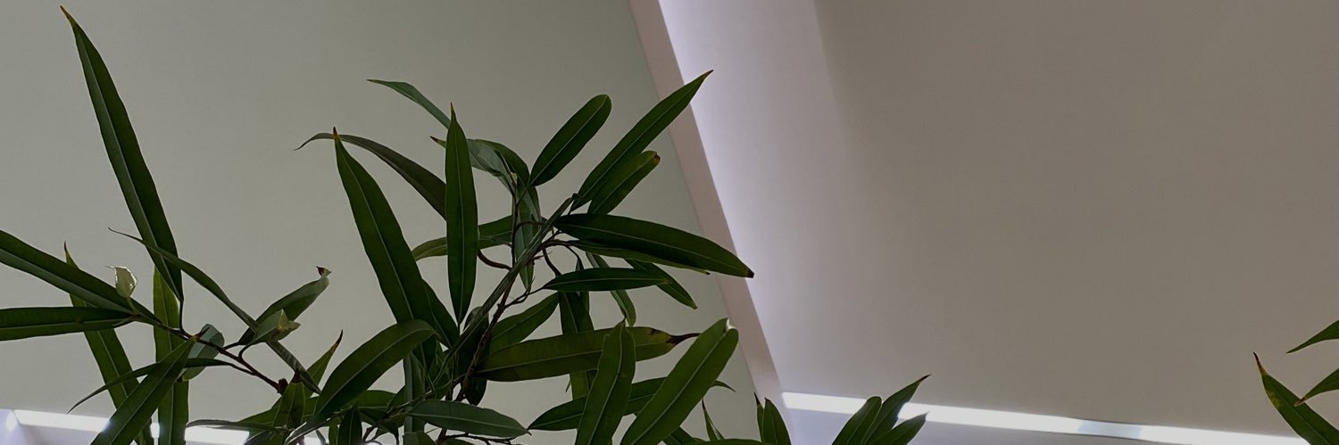 Olefeels's profile banner image