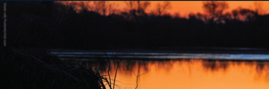 Andrepatto's profile banner image