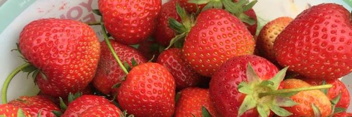 strawberry fountain banner
