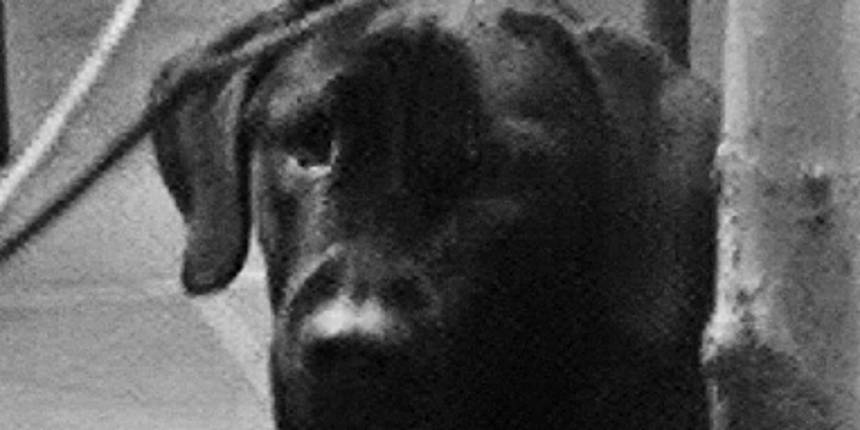 FurnoIvan's profile banner image