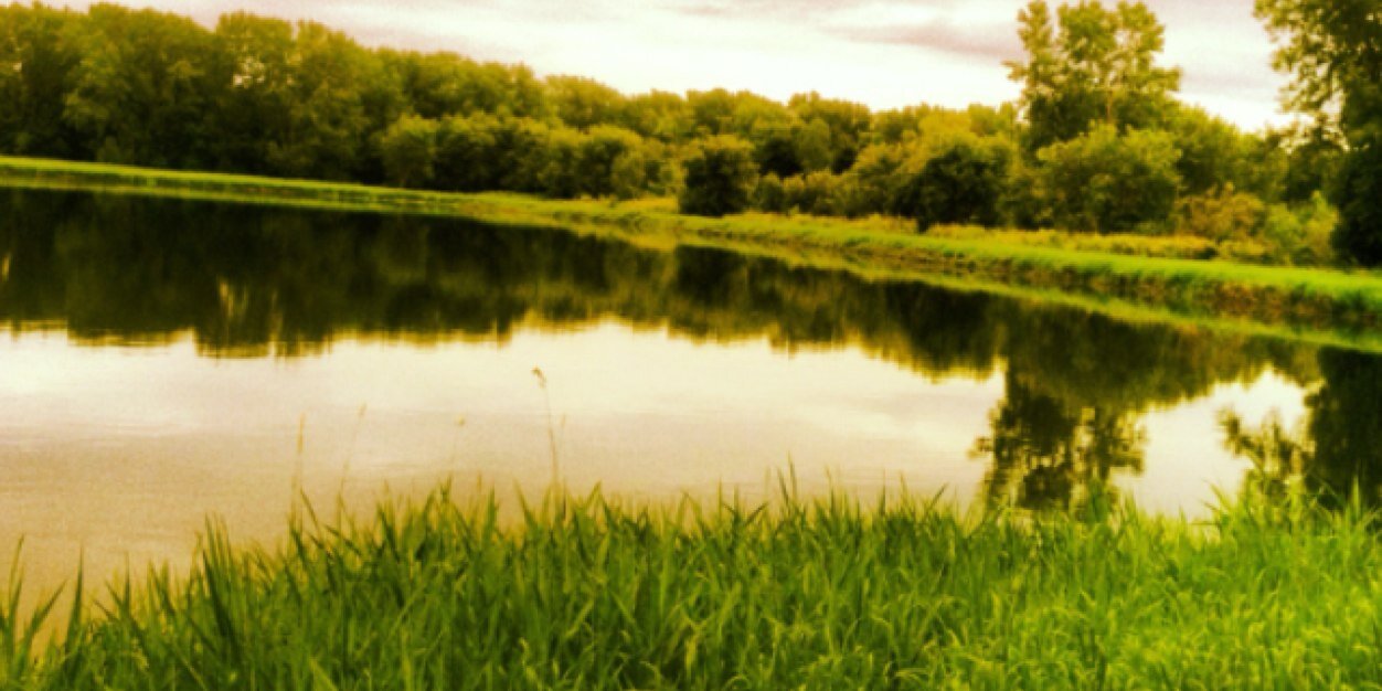 WackMyTally's profile banner image