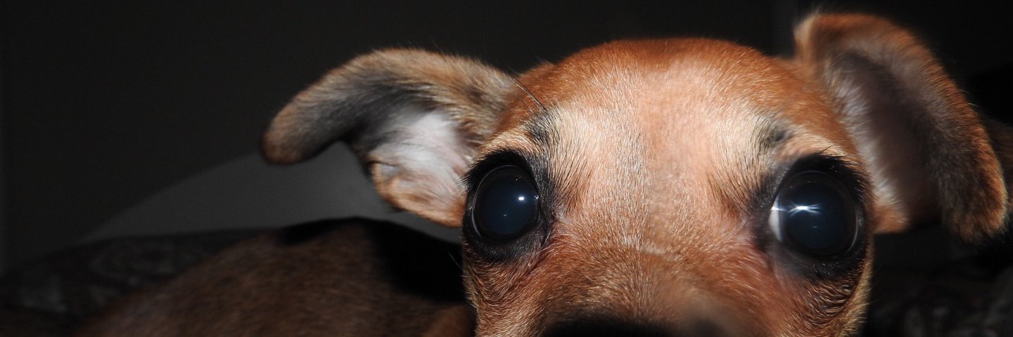 __kaayleee's profile banner image