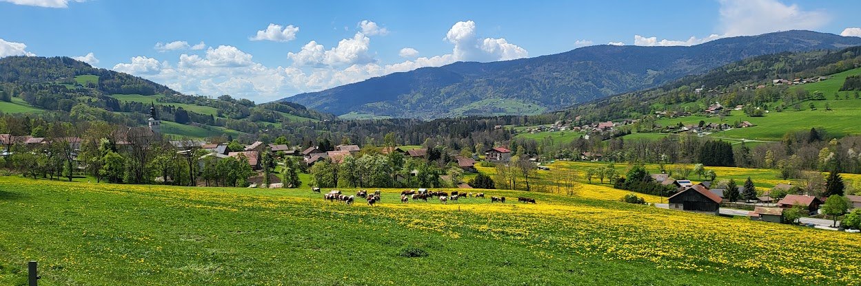 ᴘɪᴇʀᴄᴏ banner