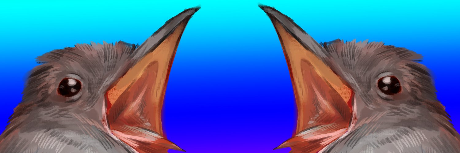 FE00oo's profile banner image
