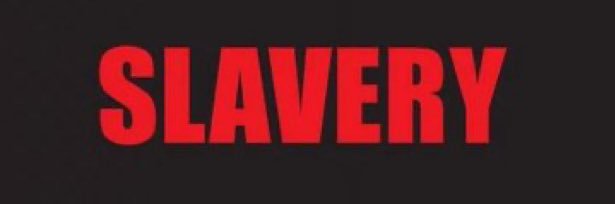 rpbbkb's profile banner image