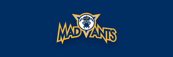 Mad Ants Basketball Profile Banner