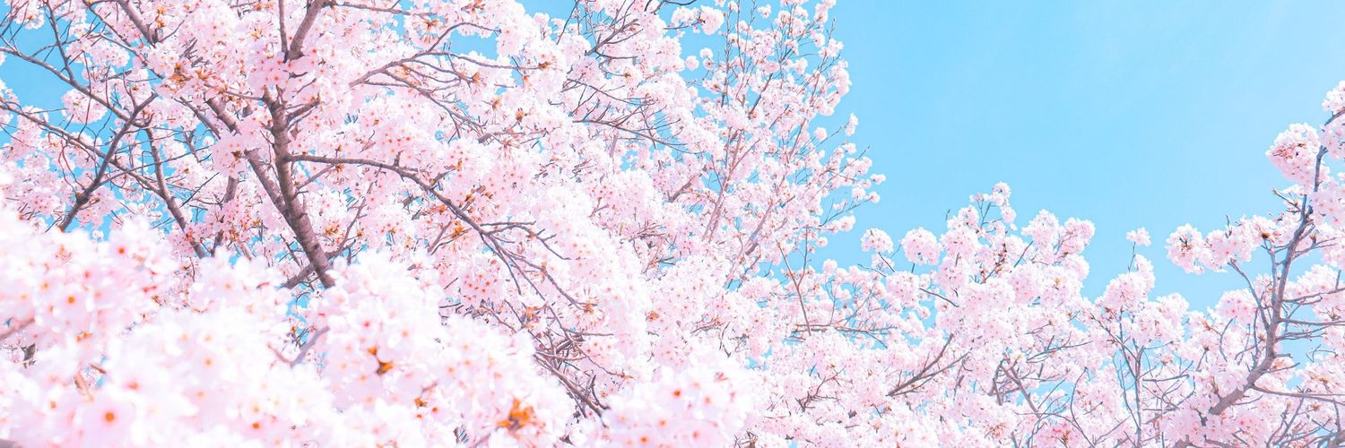 bigbabolReal's profile banner image