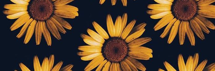 Mrs_Ellman's profile banner image