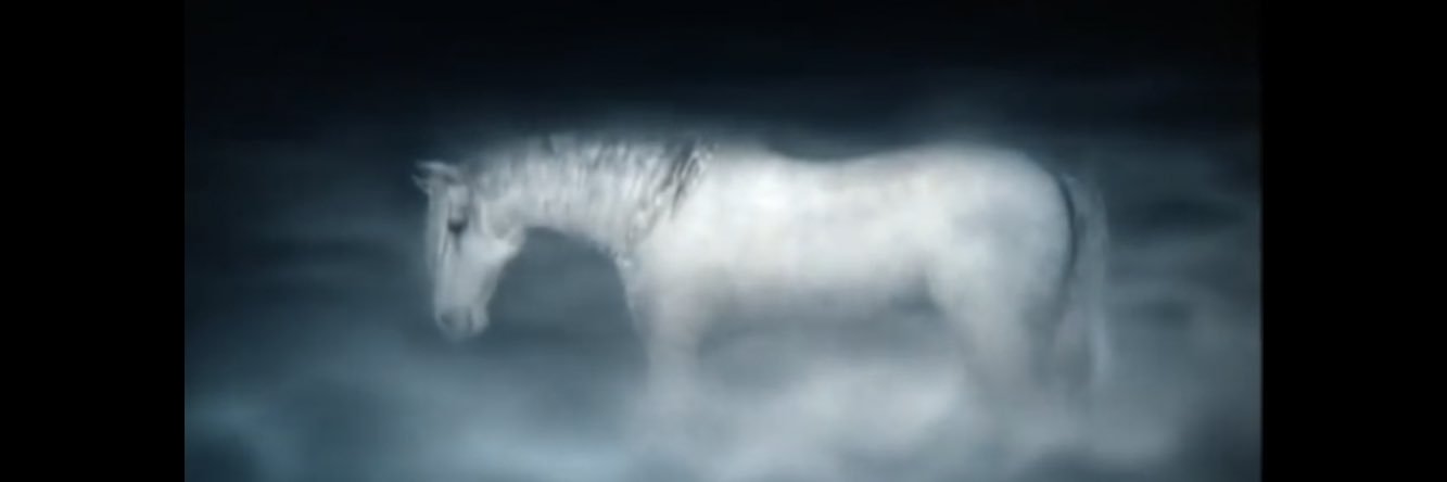 S_Dali1904's profile banner image
