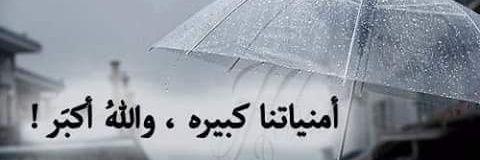 wardsafasfeh's profile banner image