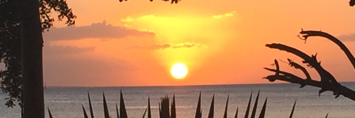 Sandishoreline's profile banner image