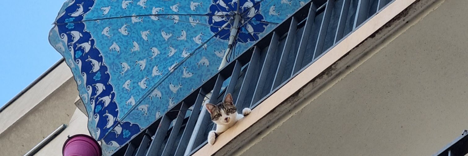 KuroFogi's profile banner image