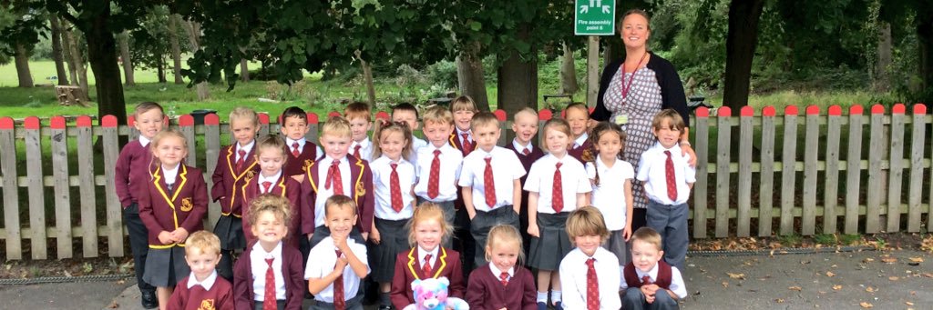 TPSRainbowBears's profile banner image
