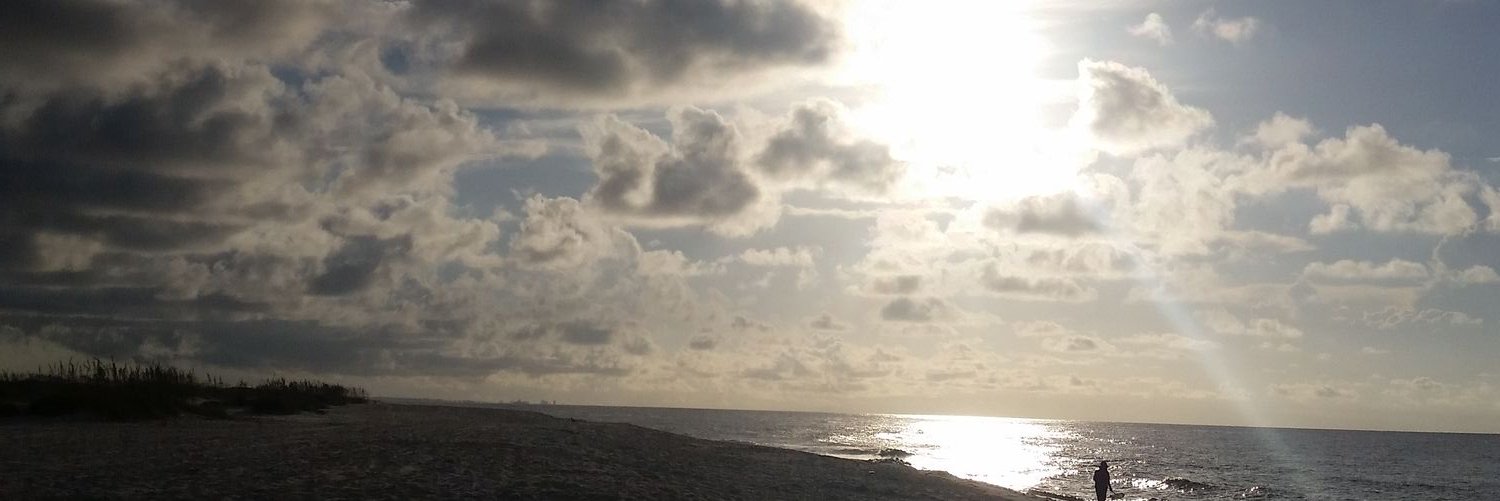 censoredbee's profile banner image