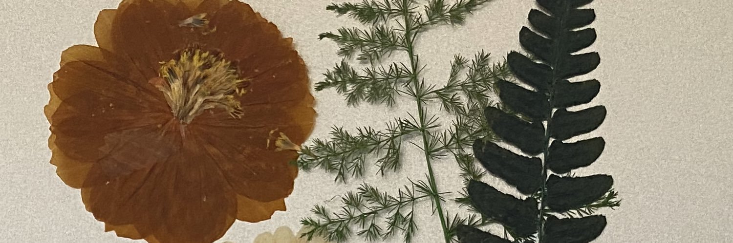 CNA_SAM_'s profile banner image