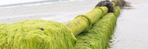 JCookOT Profile Banner