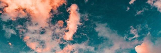toricute1's profile banner image