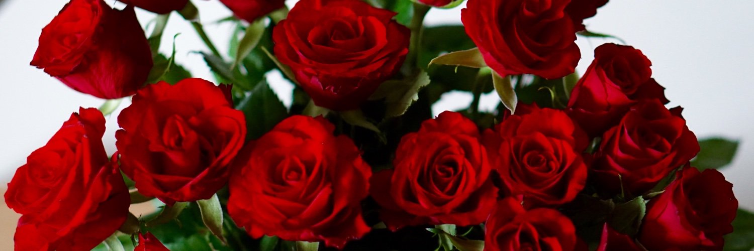 EnjoybyPaula's profile banner image