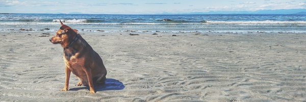 SavMcK Profile Banner