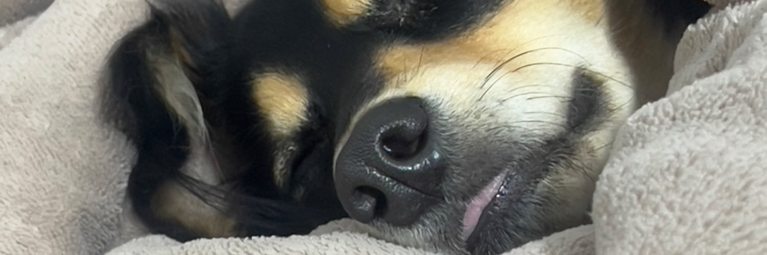 RodCyp's profile banner image