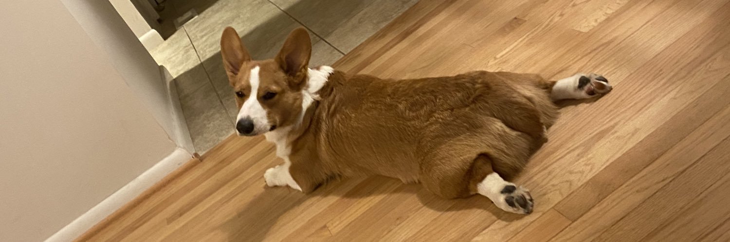 squilliam fancyson banner