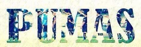 chicapuma6's profile banner image