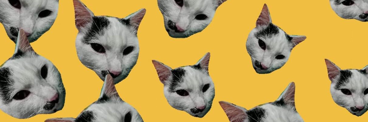 ♥ Katherin ♥ banner