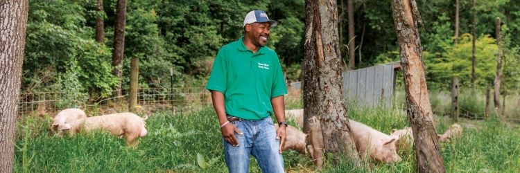 Master Blend Farms banner