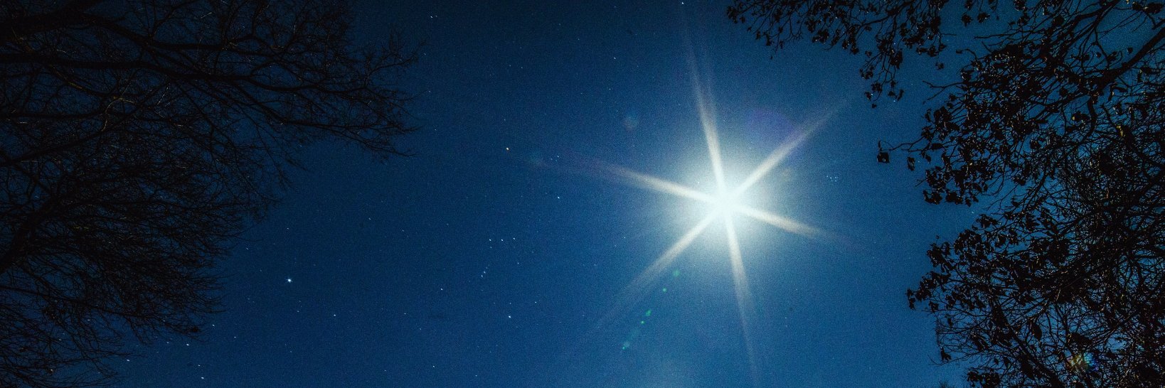 MelRenWilliams's profile banner image