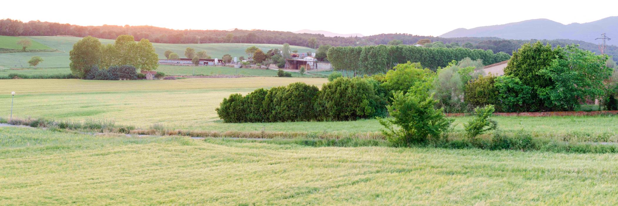 larondanocal's profile banner image