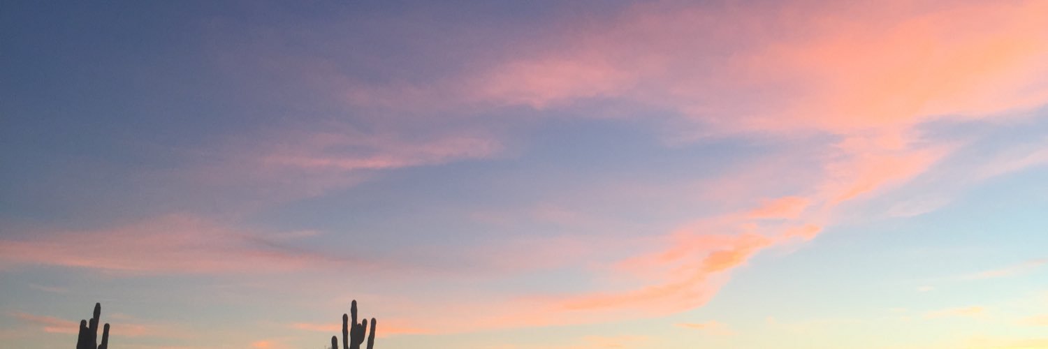 alongcameKP's profile banner image