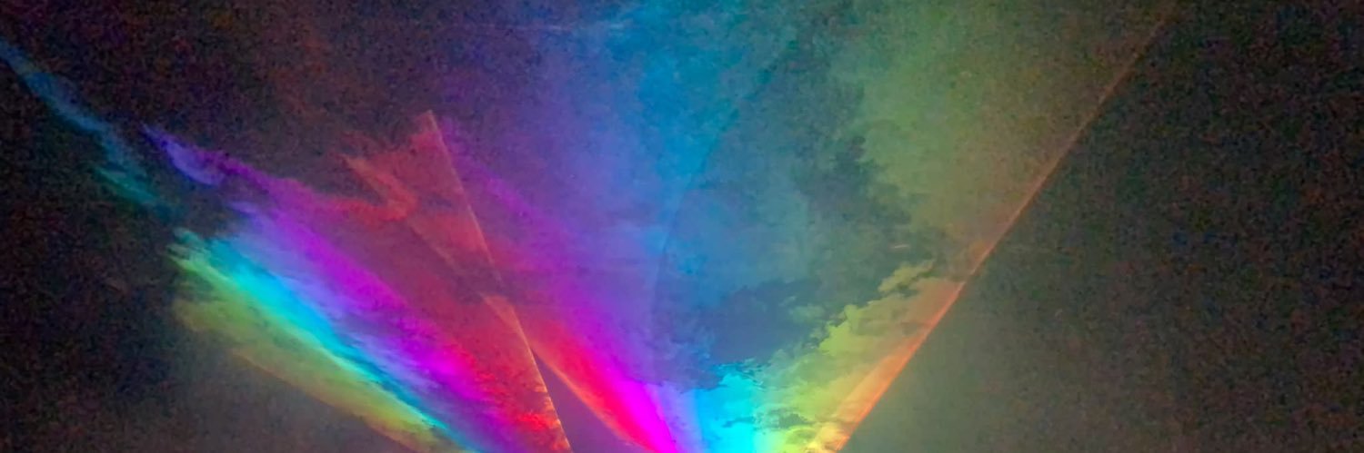 Sandra_Kokowicz's profile banner image