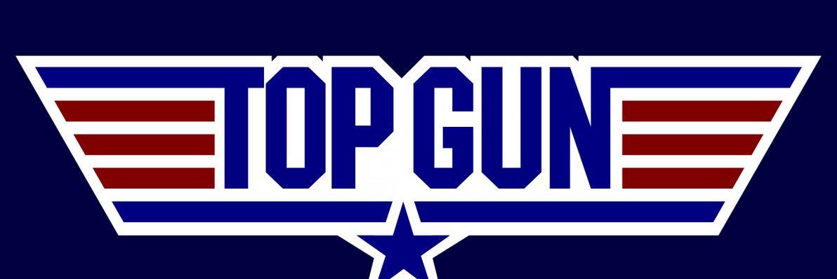Top Gun Training banner