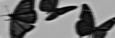 churroscullen's profile banner image