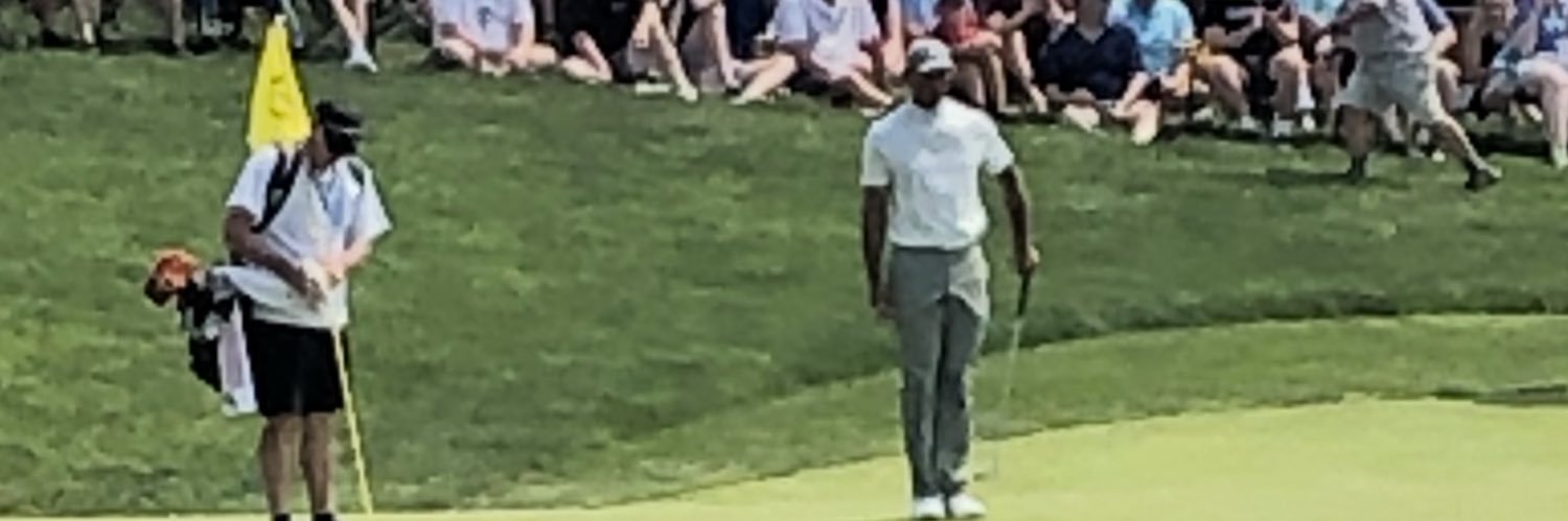 TD banner