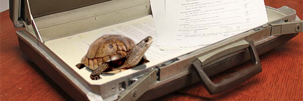 TallTyrionLannister banner